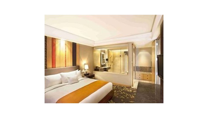 Hotel Holiday Inn Mayur Vihar Noida poza 4