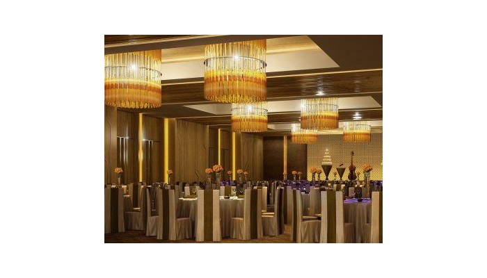Hotel Holiday Inn New Delhi Int`l Apt poza 9