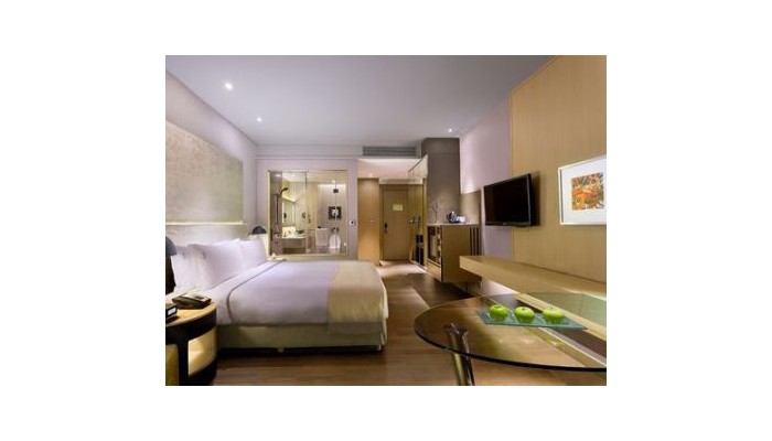 Hotel Holiday Inn New Delhi Int`l Apt poza 0
