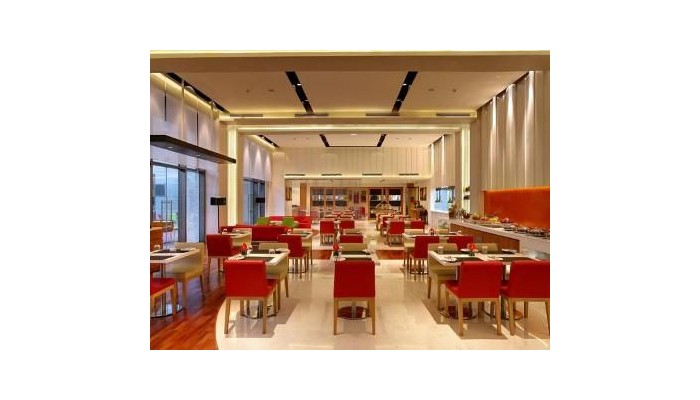 Hotel Ibis Delhi Airport poza 4