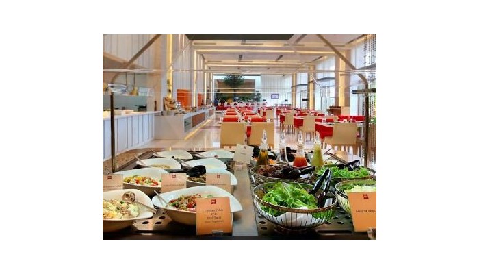 Hotel Ibis Delhi Airport poza 3