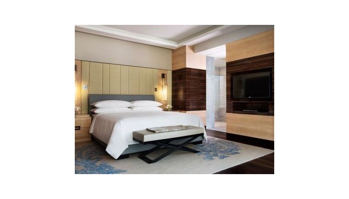 Hotel Jw Marriott Aerocity poza 5