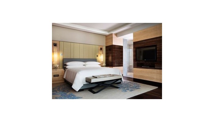 Hotel Jw Marriott Aerocity poza 0