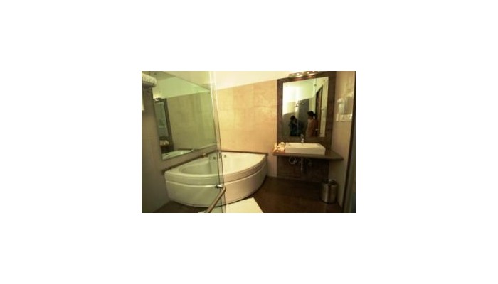 Hotel Mapple Emerald New Delhi poza 0