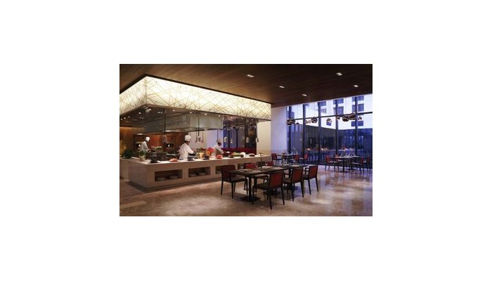Hotel Novotel New Delhi Aerocity poza 6