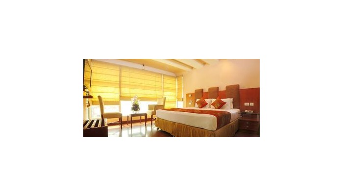 Hotel Palm Dor poza 10