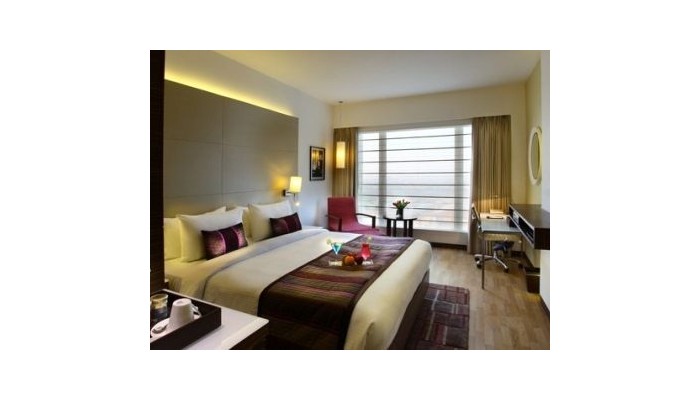 Hotel Park Plaza East Delhi poza 2