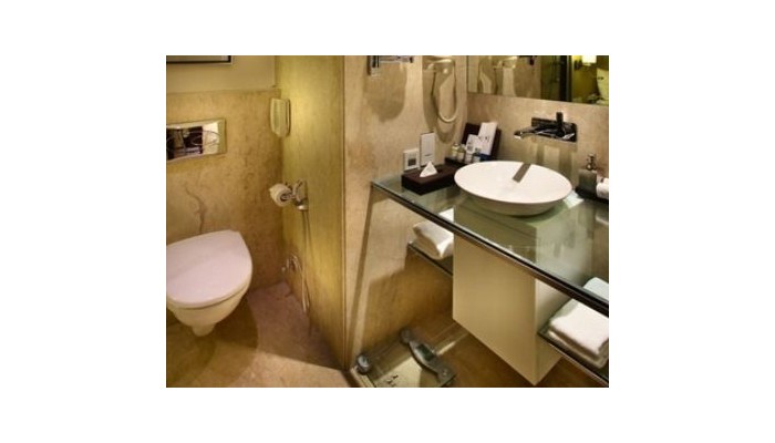 Hotel Park Plaza East Delhi poza 4