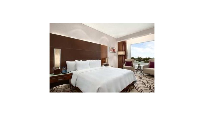 Hotel Piccadily Ex Hilton Janakpuri poza 7