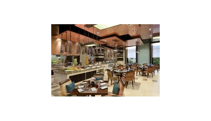 Hotel Piccadily Ex Hilton Janakpuri poza 10