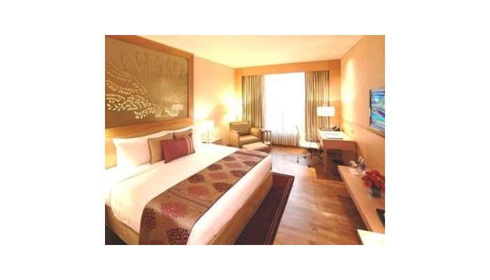 Hotel Radisson Blu Dwarka poza 3