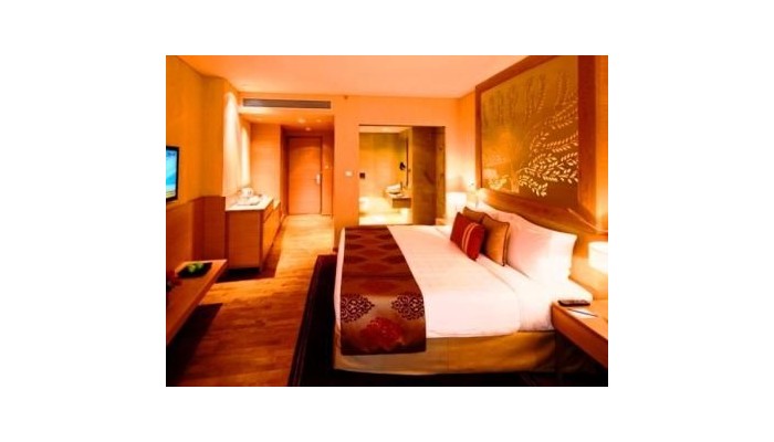Hotel Radisson Blu Dwarka poza 4