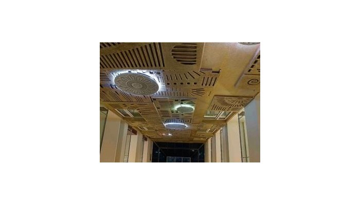 Hotel Regent Grand poza 4