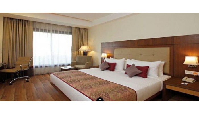 Hotel S.k. Premium Park poza 0