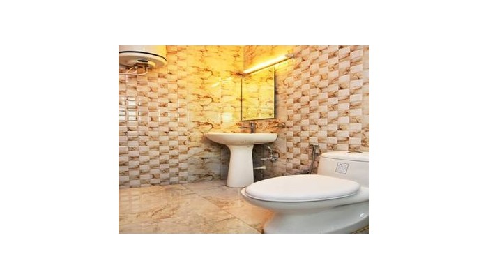 Hotel Srivinayak poza 7