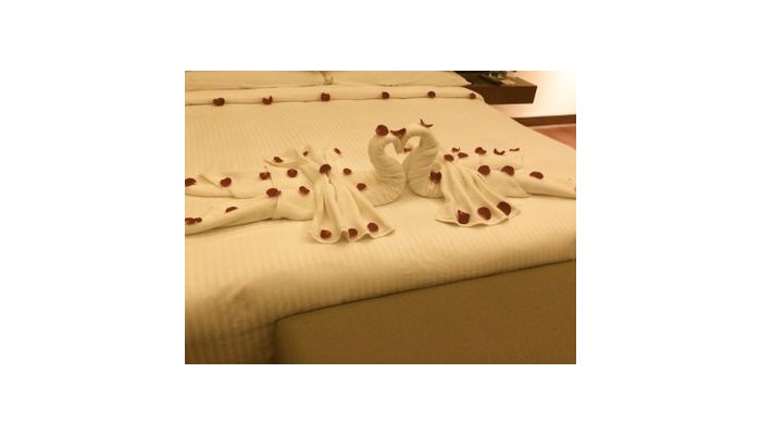 Hotel Tavisha poza 11