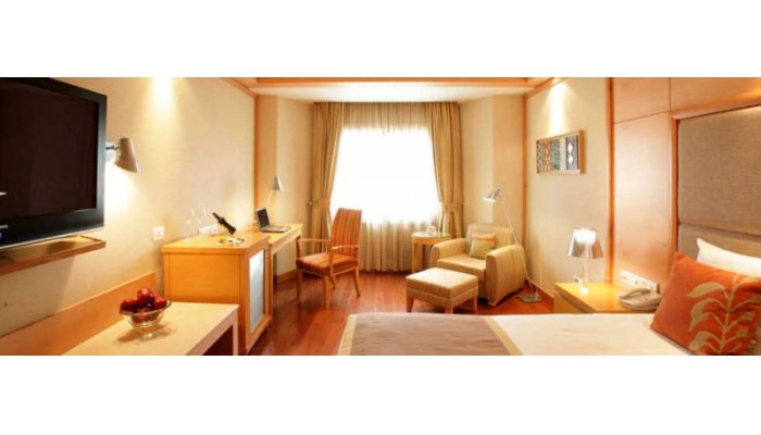 Hotel Vasant Continental poza 0