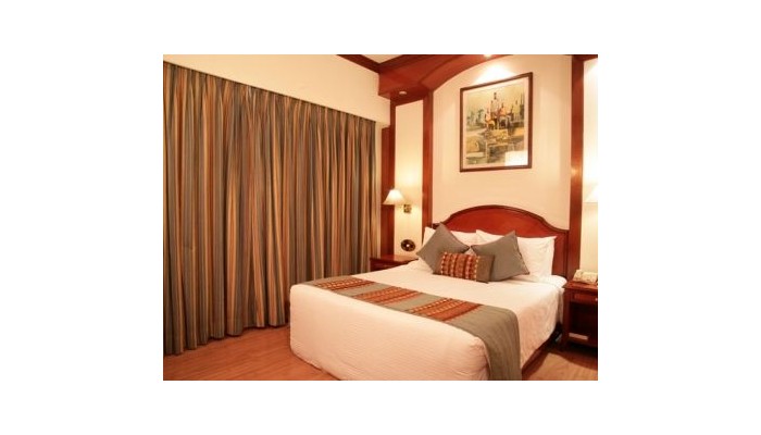 Hotel Vikram poza 4