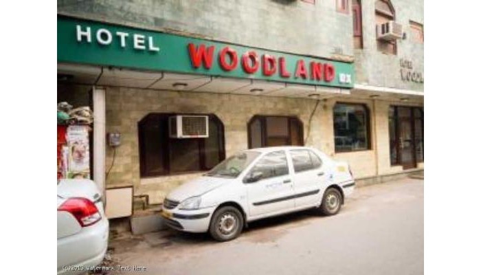 Hotel Woodland Deluxe poza 0