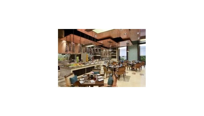 Piccadily Hotel New Delhi poza 4