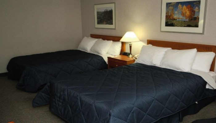Poza pentru Hotel Wyndham Garden Niagara Falls Fallsview 537-1454445351 Hotel Wyndham Garden Niagara Falls Fallsview poza 3
