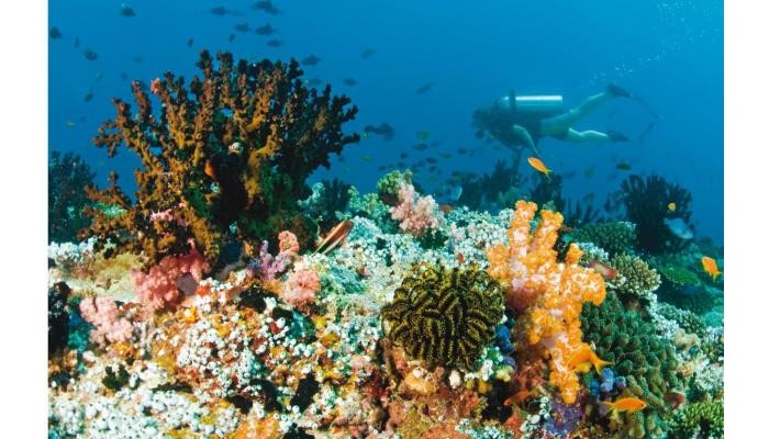 Hotel Baros Maldives poza 18