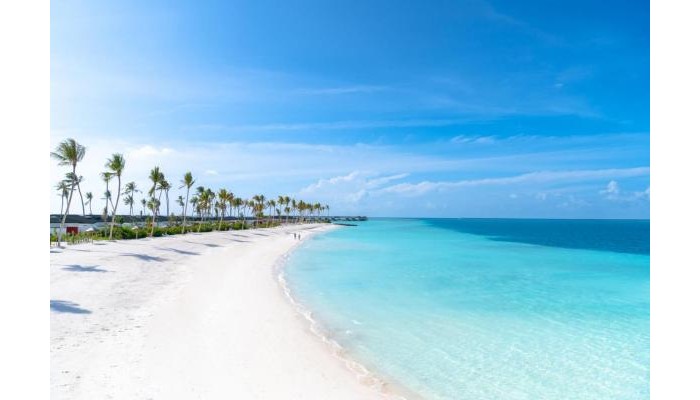 Hotel Joy Island By Cocoon Collection poza 25