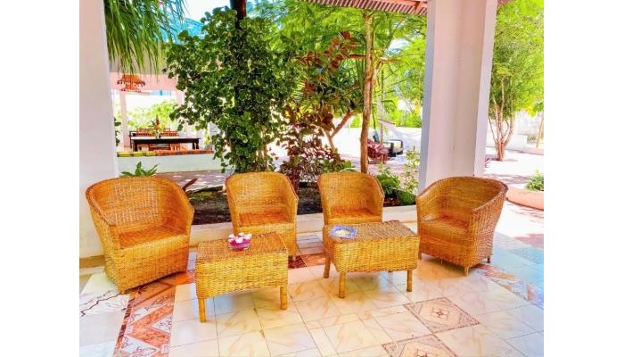 Hotel Papaya Guest House poza 13