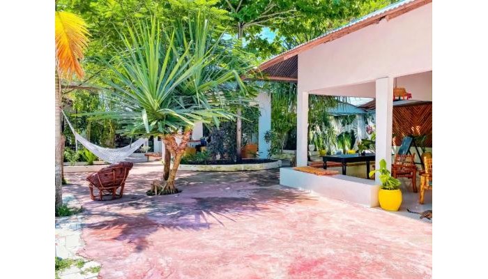 Hotel Papaya Guest House poza 14