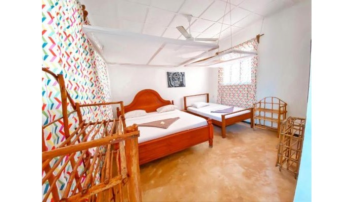Hotel Papaya Guest House poza 1