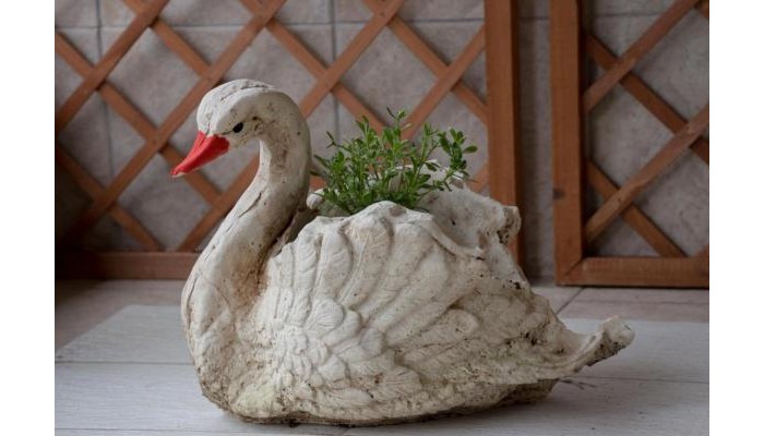 Filia Apartments poza 0