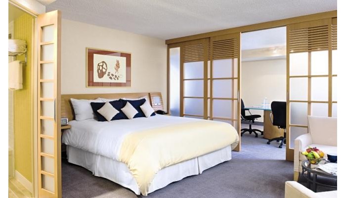 Poza pentru Hotel Novotel Ottawa 6845-1547847129 Hotel Novotel Ottawa poza 4