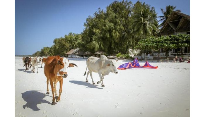 Hotel Mr. Kahawa Waterfront poza 22