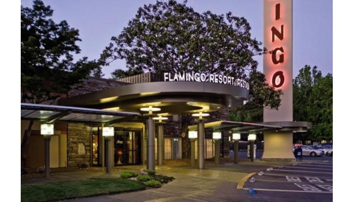 Flamingo Resort poza 6