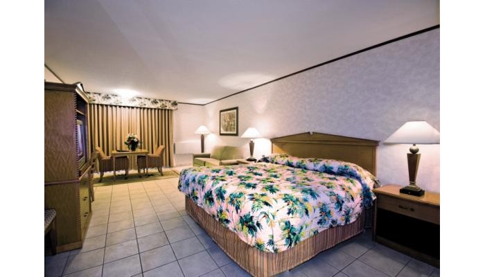 Garden Vista Hotel poza 4