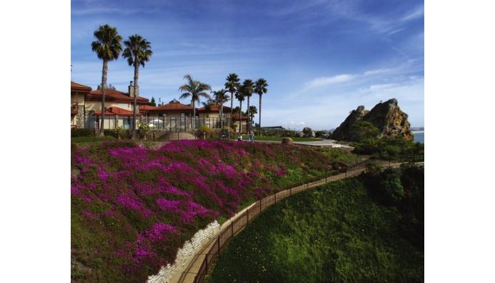 Hotel Best Western Plus Shelter Cove Lodge poza 3