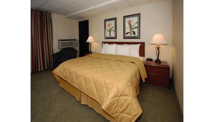 Hotel Comfort Inn University District Downtown poza 3