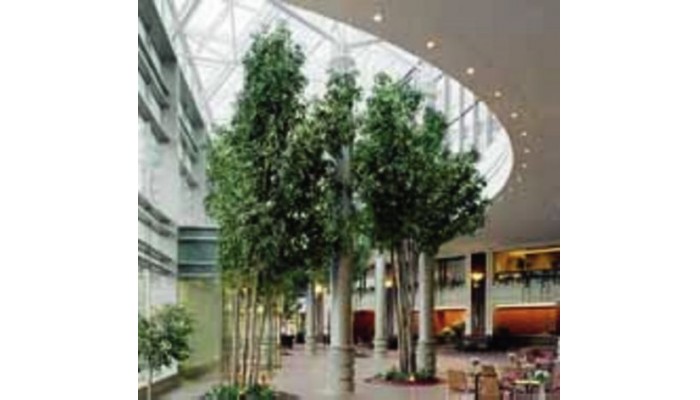 Hotel Hilton Boston Logan Airport poza 1