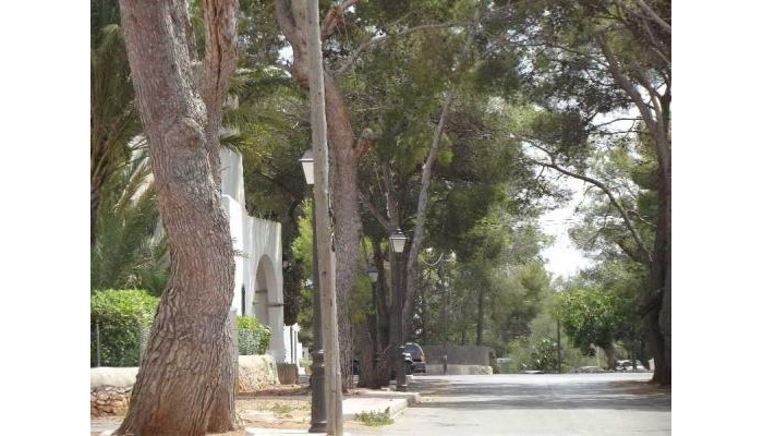 Hotel La Ceiba poza 9