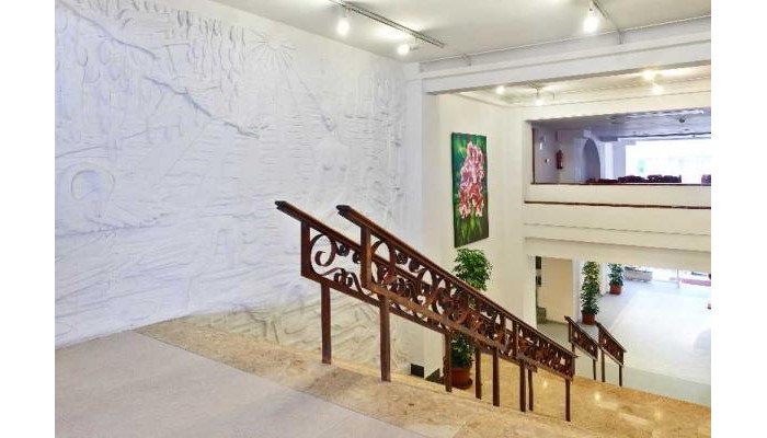 Hotel Mediodia poza 6