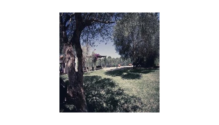 Hotel Playa Ferrera poza 50