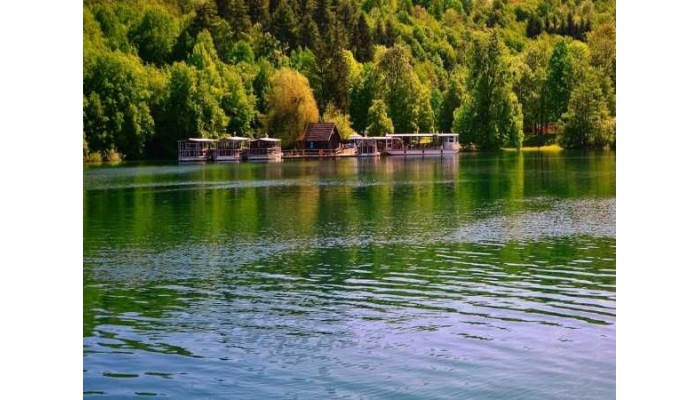 Hotel Bellevue poza 4