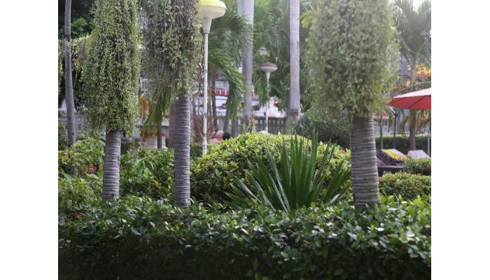 Hotel Romeo Palace poza 7