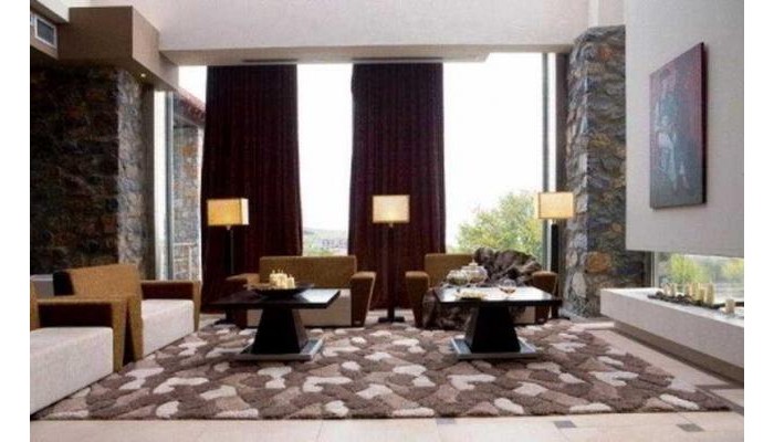 Hotel Domotel Neve poza 1