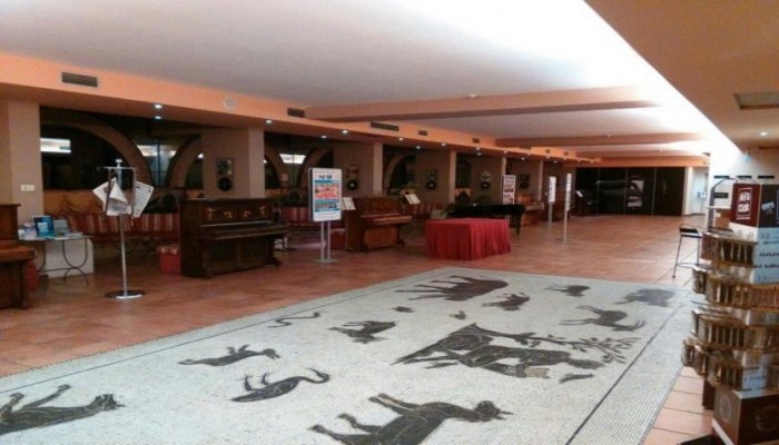 Hotel Gio Jazz Area poza 21