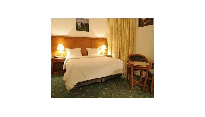 Amra Palace International Hotel poza 9