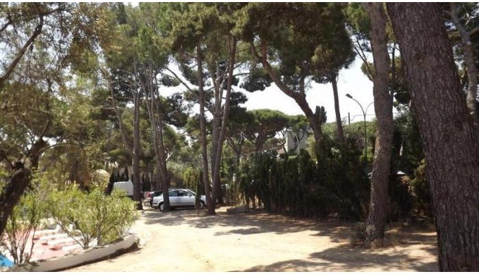 Hotel Treumal Park poza 7