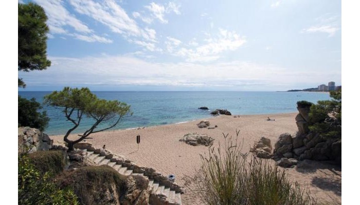 Medplaya Hotel Monterrey poza 10