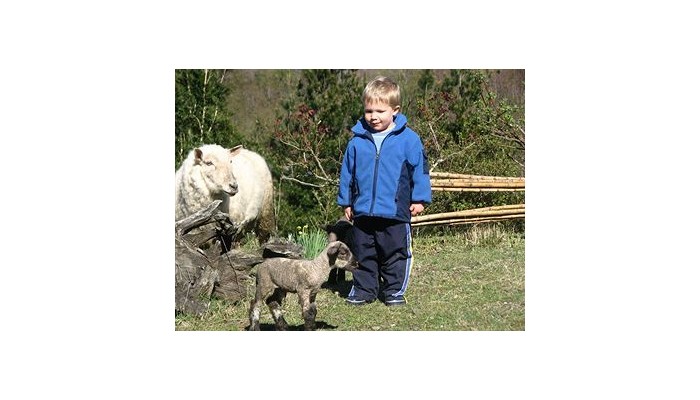 Hotel Cabanas & Spa Mirador Los Volcanes poza 1