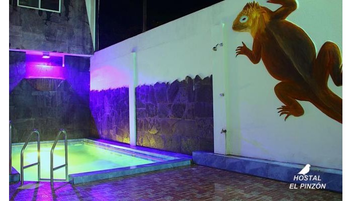 Albatross Hotel poza 0